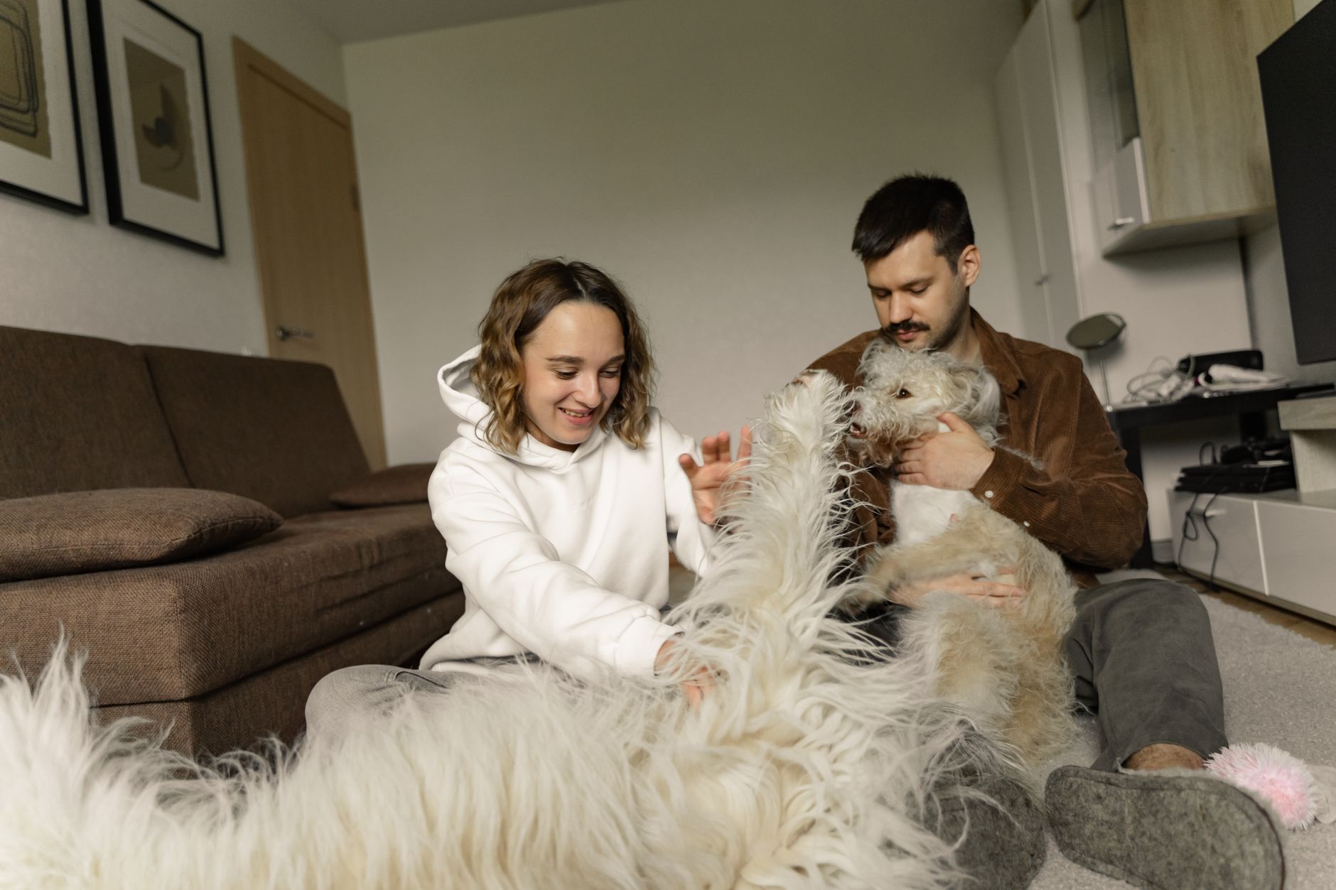 Apartman Yaşamına Uygun Kedi ve Köpek Irkları