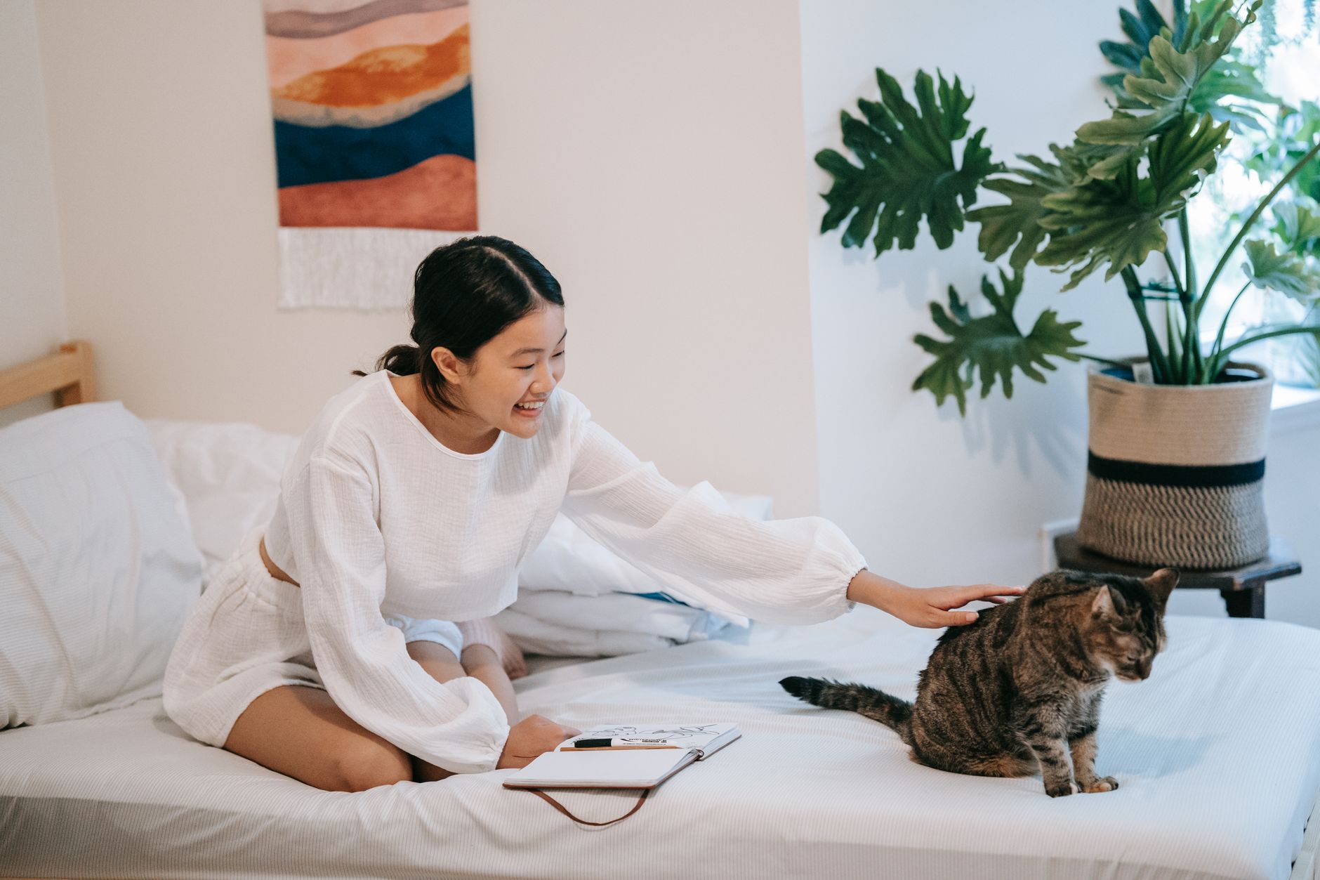 Apartman Yaşamına Uygun Kedi ve Köpek Irkları