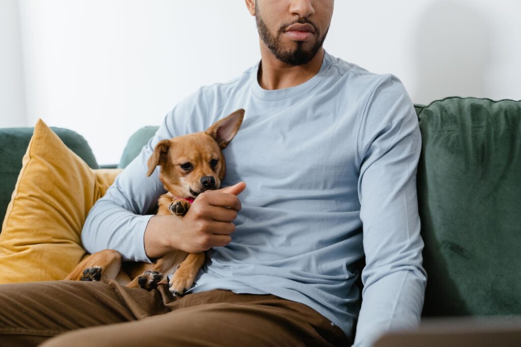pet choking emergency 8434642