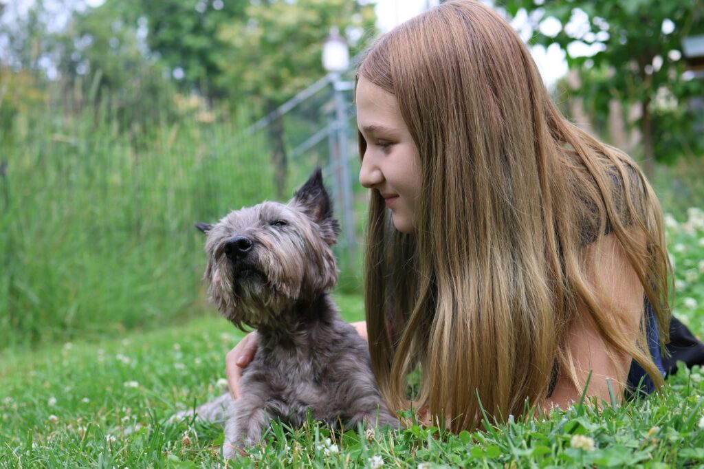 pet health summer 38333253