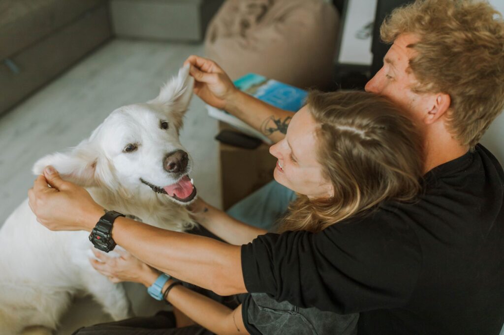 pet microchip 5495141