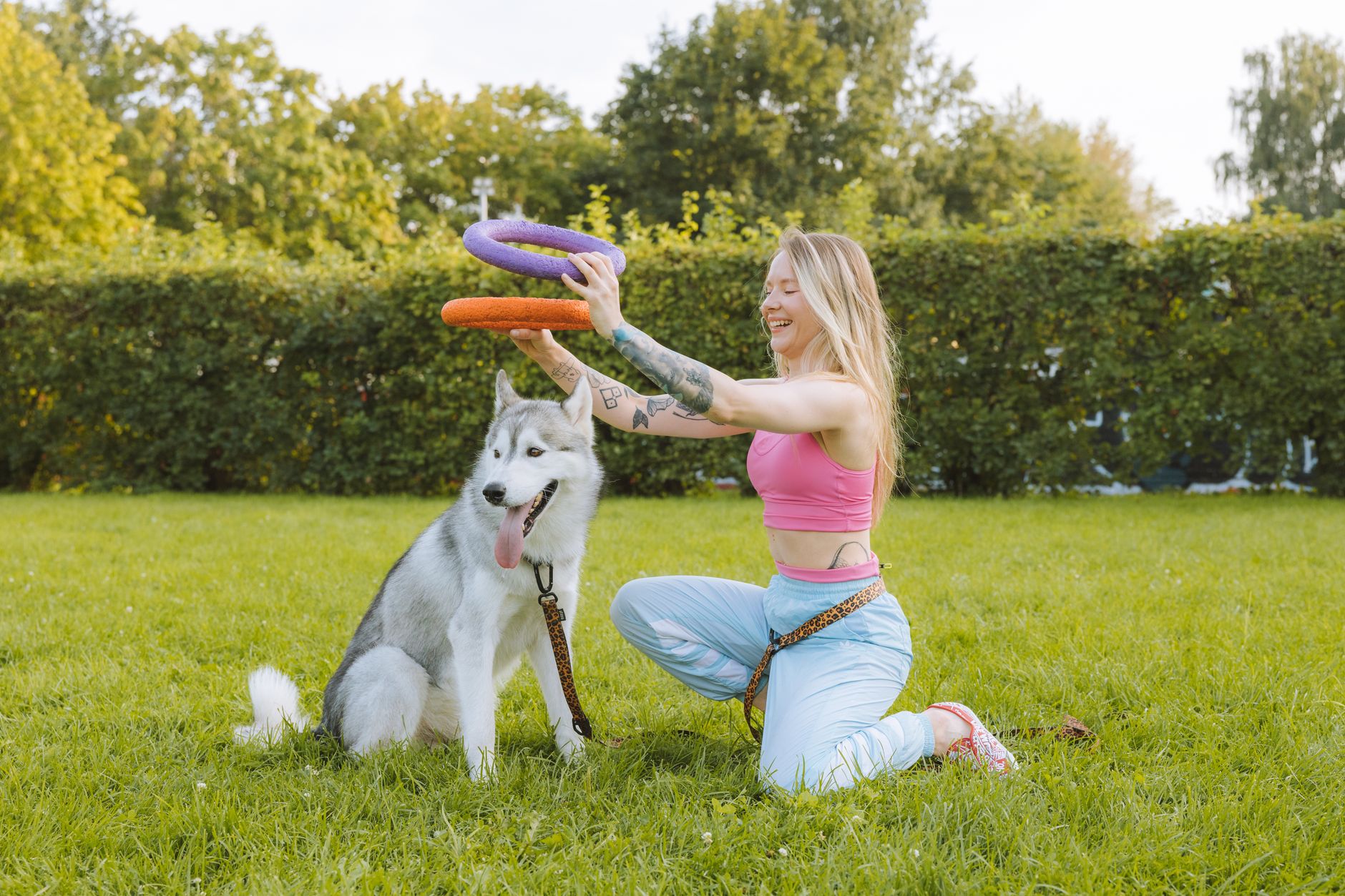 Köpek Eğitimi: Temel Komutlar Nasıl Öğretilir?