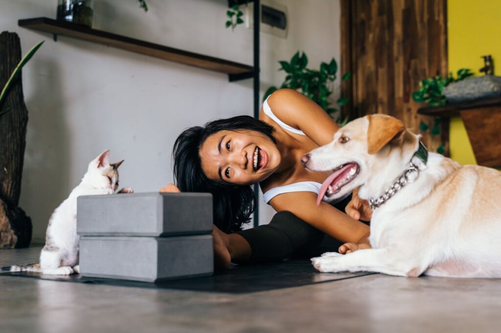 pet immunity 14751278