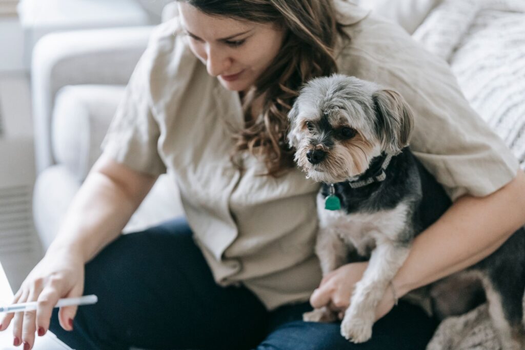 vaccine dog 7282636