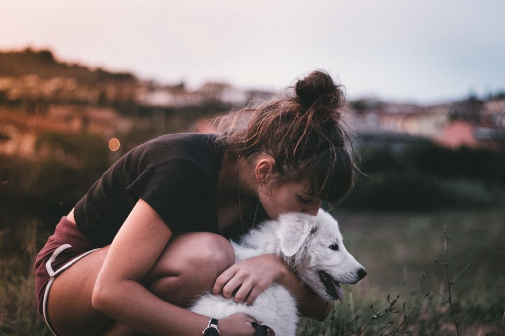 puppy care 2850609